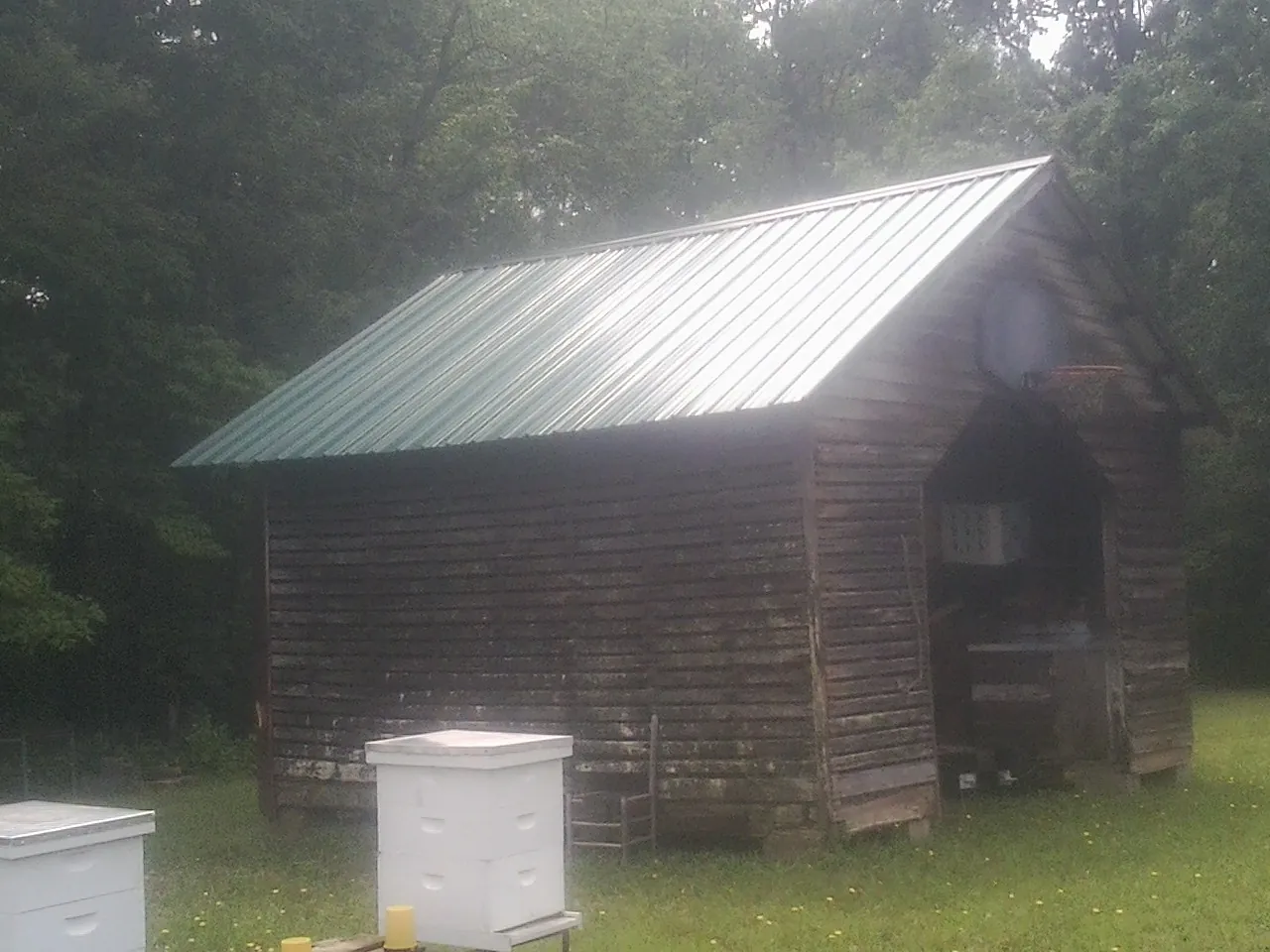 Green metal roof on a weathered barn beside stacked beehives in Ellisville