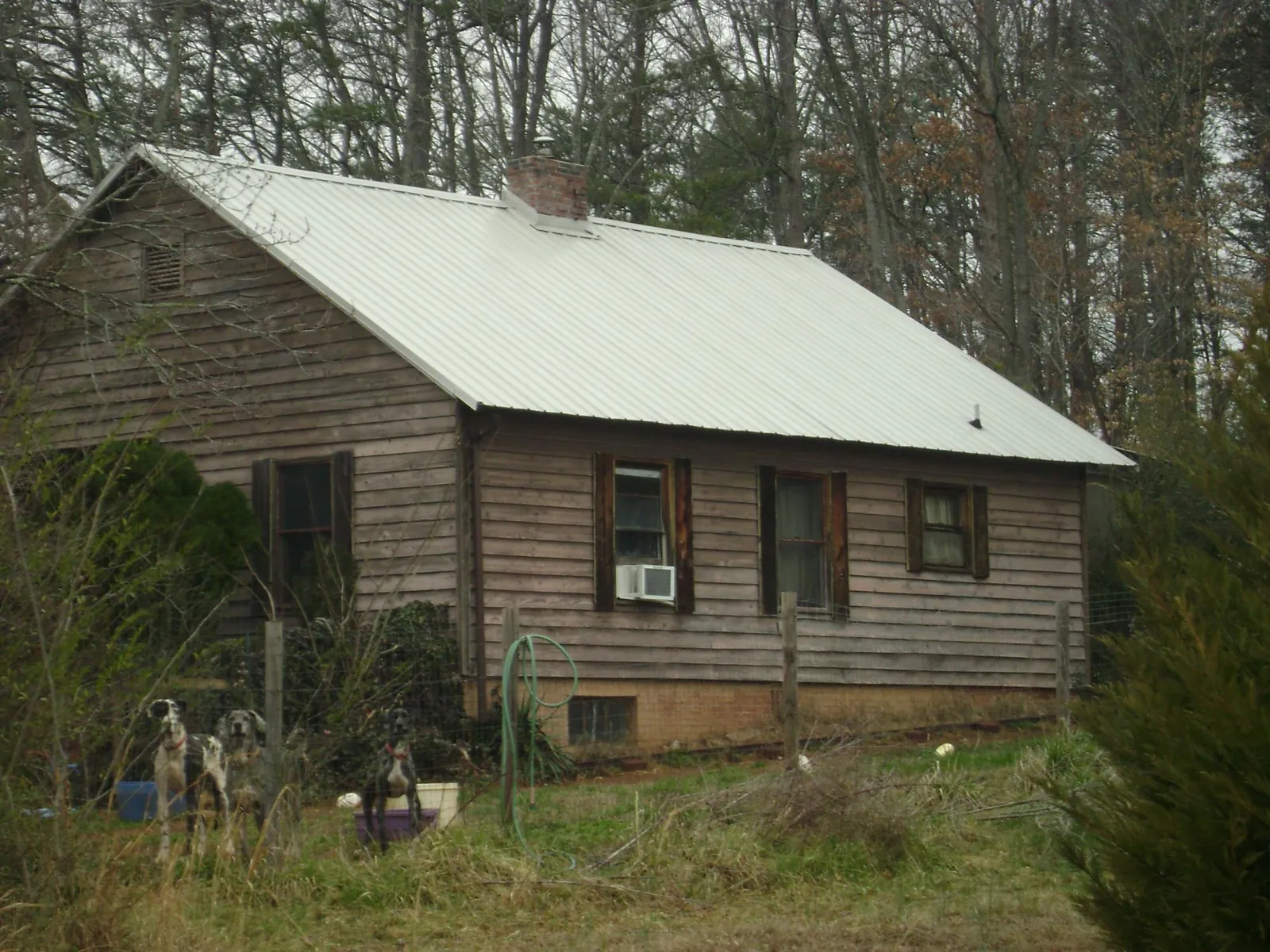 White metal roof on an old wood sided farmhouse, from a Asphalt Shingle Roof Repair job in Ellisville
